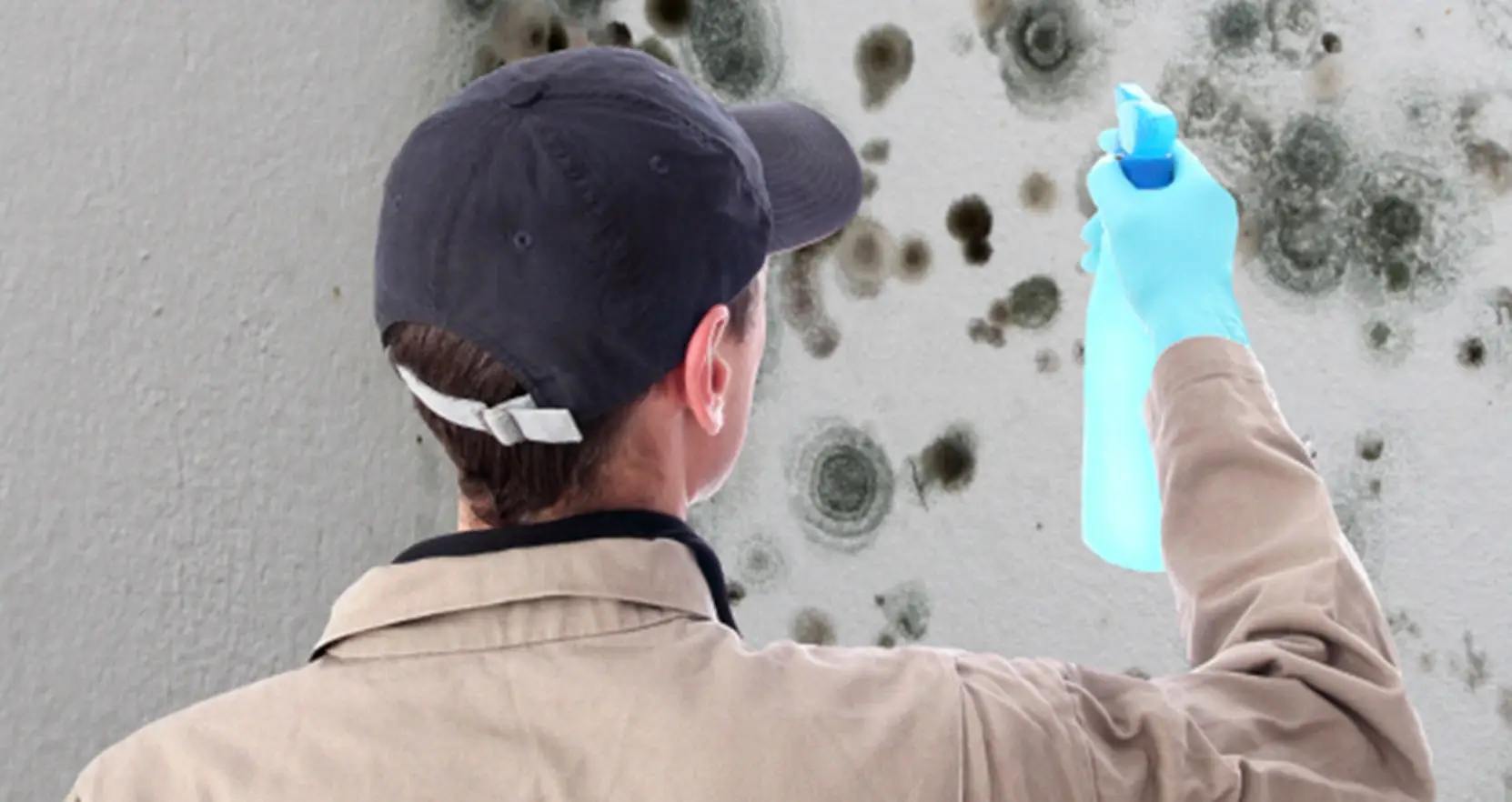 Understanding Black Mold and Its Dangers